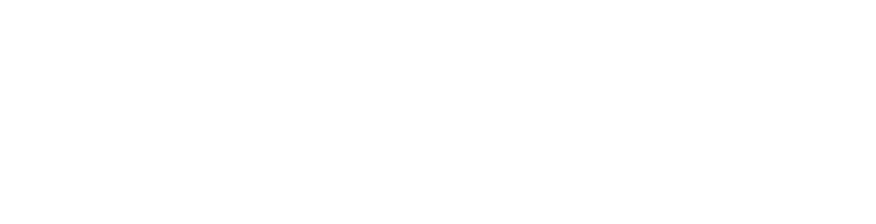SAICA SAICA